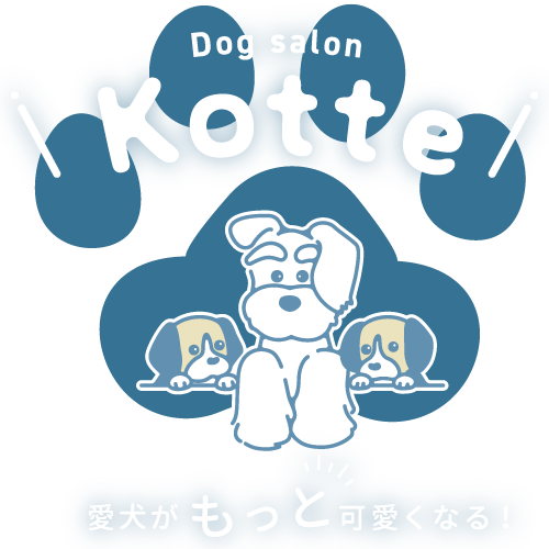 浜松市中区でトリミングサロン・ドッグサロンをお探しなら小型犬専門の当店がおすすめです。