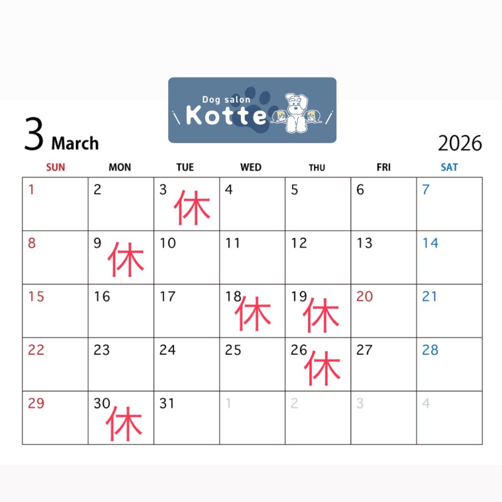 3月の営業スケジュール🐾